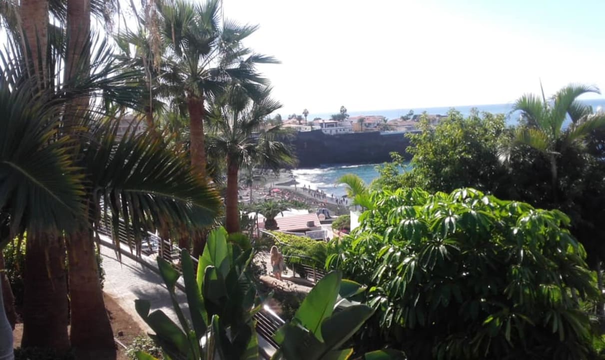 Ogród Landmar Playa La Arena