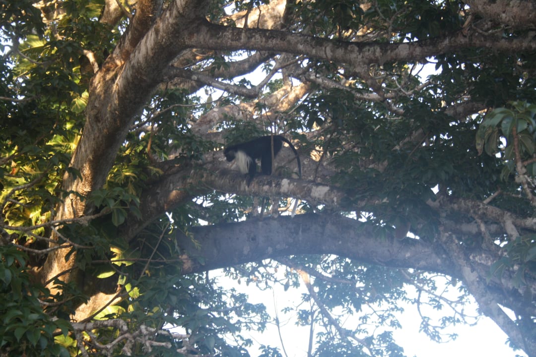 Affen Neptune Paradise Beach Resort & Spa