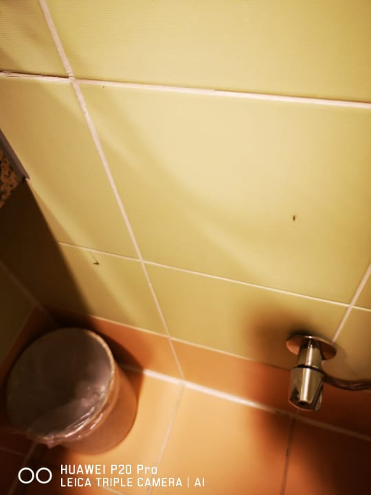 Zimmer Limak Limra Hotel & Resort