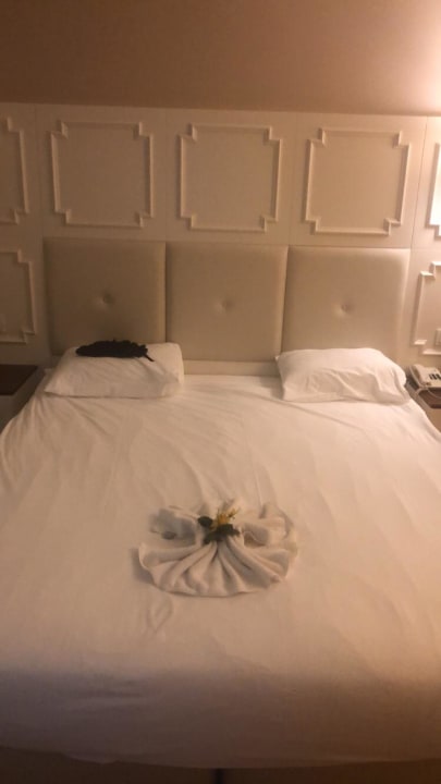 Zimmer Well Palace Side