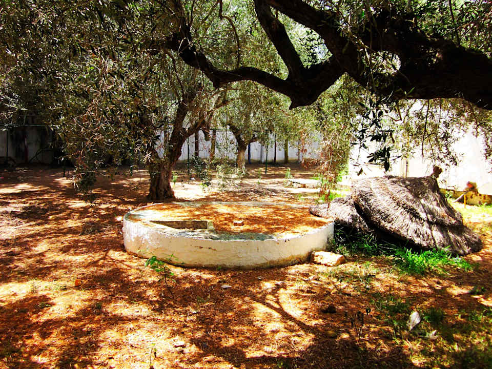 Direkt neben Minigolf der Sperrmüll Hammamet Garden Resort & Spa