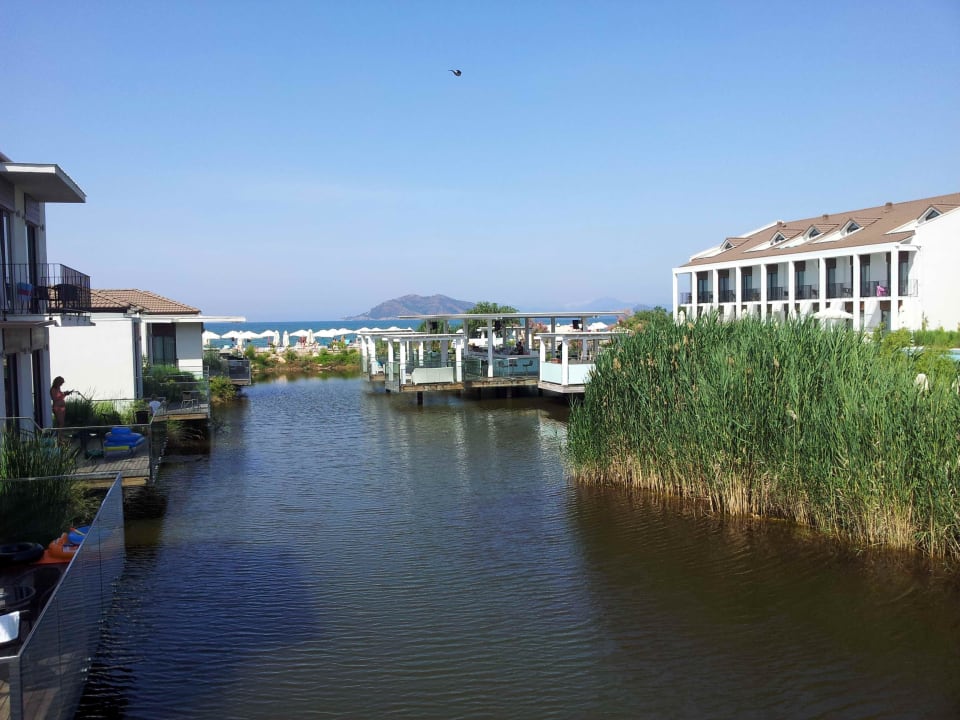 Bar am Teich Jiva Beach Resort