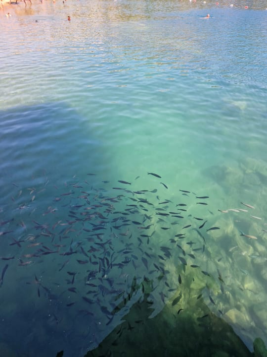 Strand La Blanche Island Bodrum
