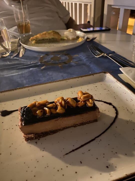 Gastro Acanthus Cennet Barut Collection