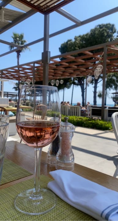 Gastro Acanthus Cennet Barut Collection