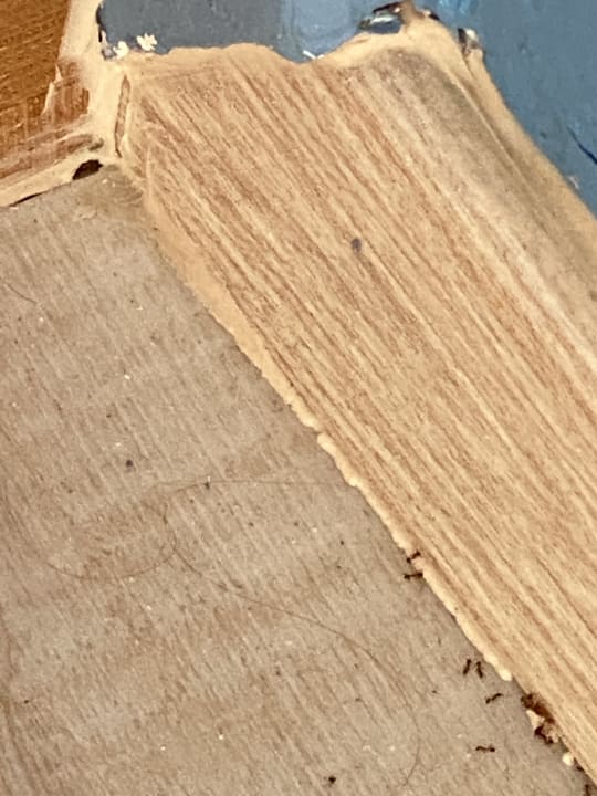 Zimmer ROBINSON ESQUINZO PLAYA