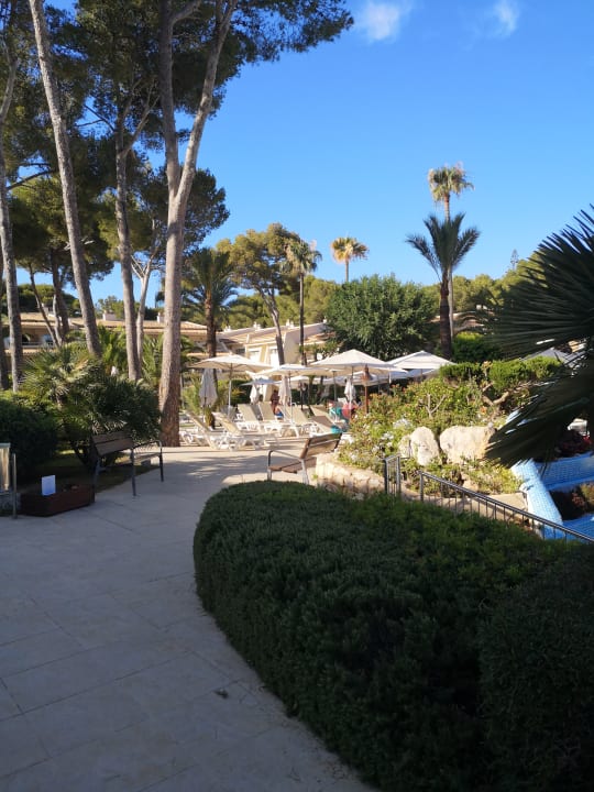 Gartenanlage Iberostar Waves Pinos Park