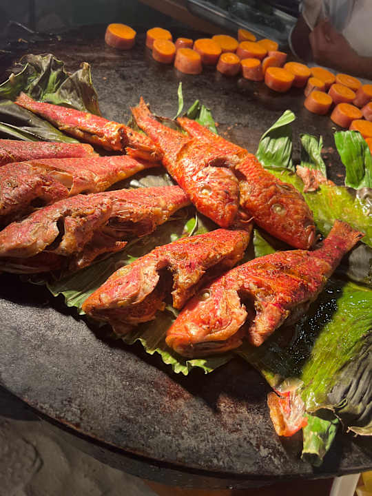 Gastro Salalah Rotana Resort