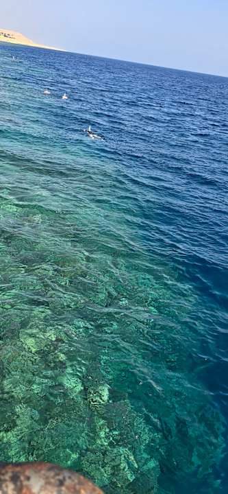 Strand Pickalbatros Oasis Hotel - Port Ghalib