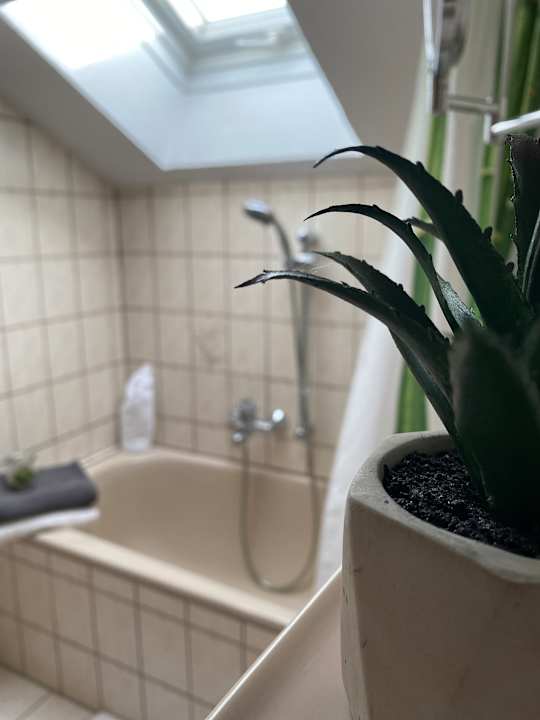 Zimmer Ferienwohnung  Am Dorfbach