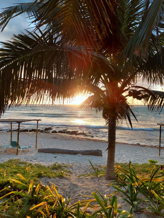 Ausblick Akumal Bay Beach & Wellness Resort