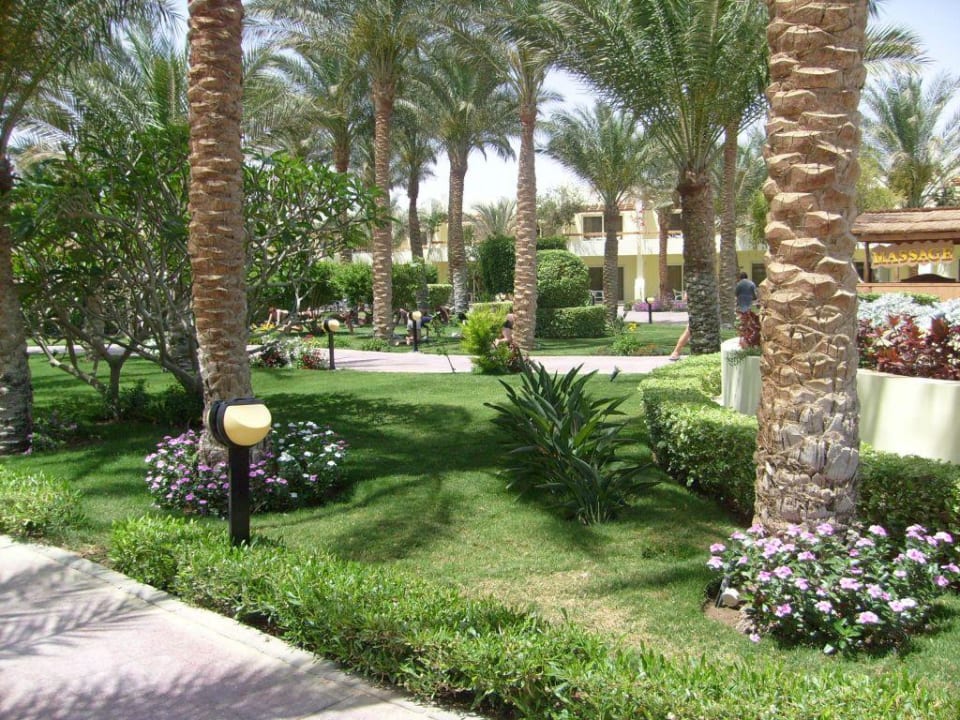 Gartenanlage Palm Beach Resort