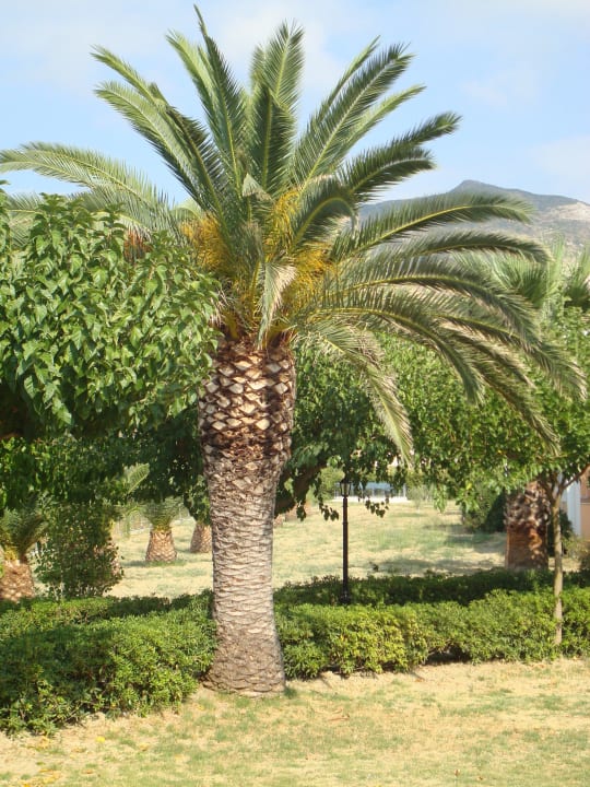 Blick vom Balkon Hotel Sirocco