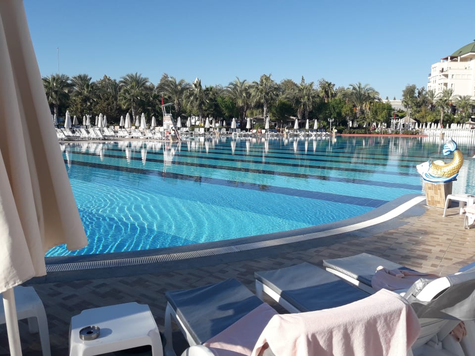 Pool Hotel Delphin Imperial