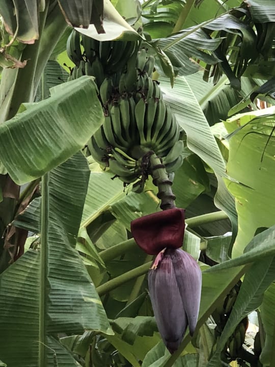 Außenansicht The Land of Legends Kingdom Hotel