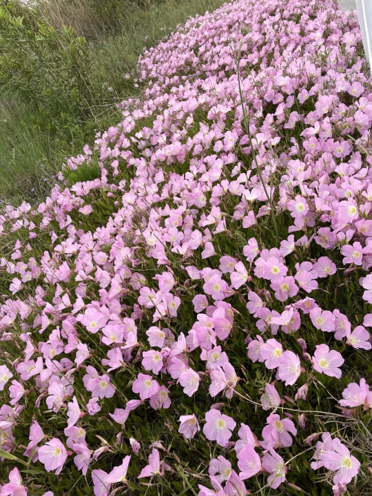 Gartenanlage Anemos Luxury Grand Resort