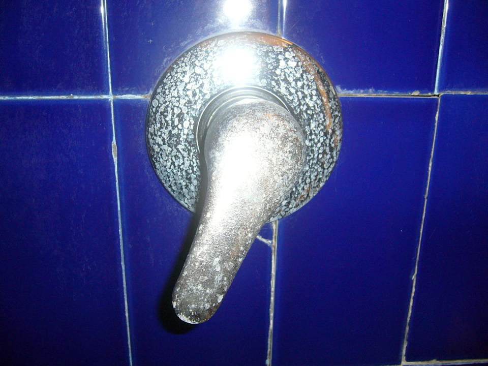 Lecker Earl’s Reef Beruwala