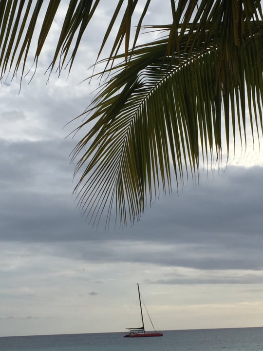 Strand Hotel Viva Dominicus Palace by Wyndham-All Inclusive Resort