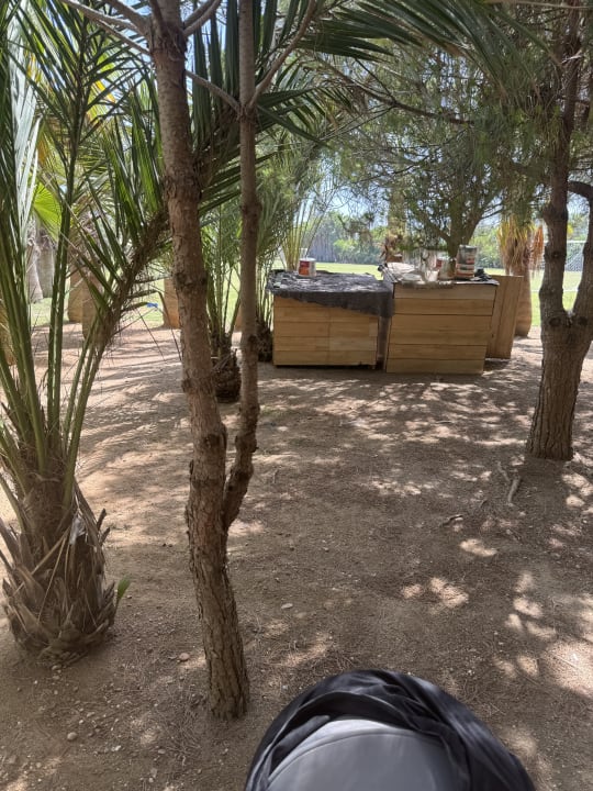 Gartenanlage Seaden Sea World Resort & Spa