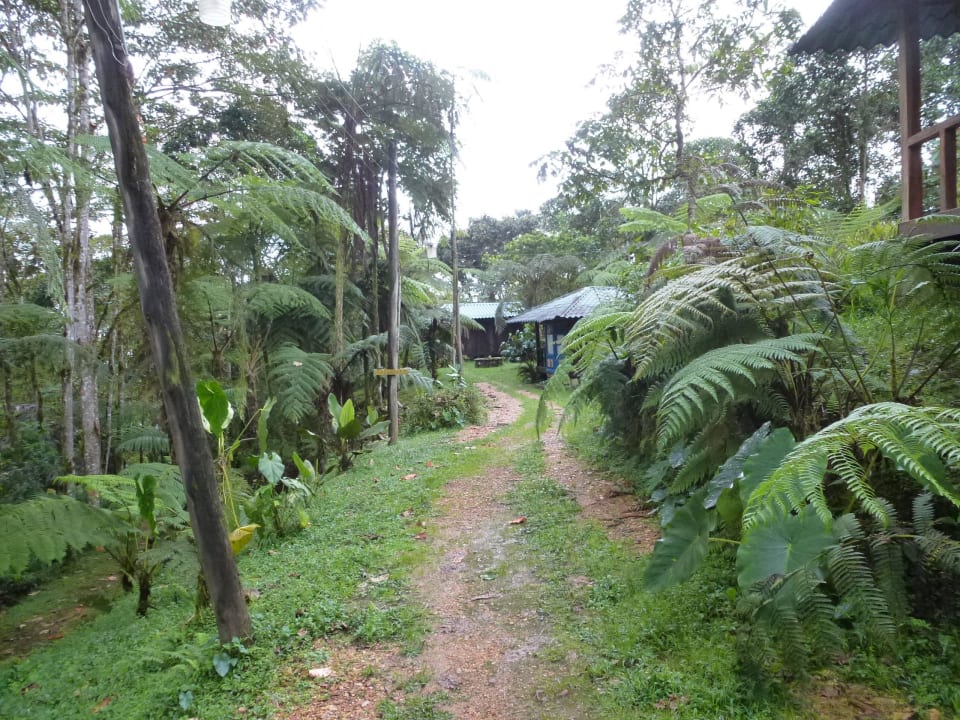 In der Anlage unterwegs Hotel Sachatamia Lodge