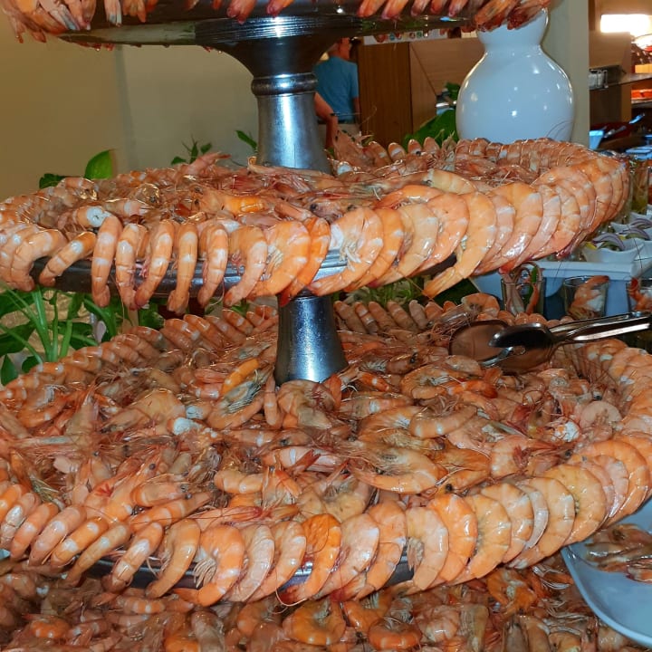 Gastro PALOMA Perissia