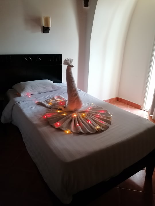 Zimmer Three Corners Sea Beach Resort