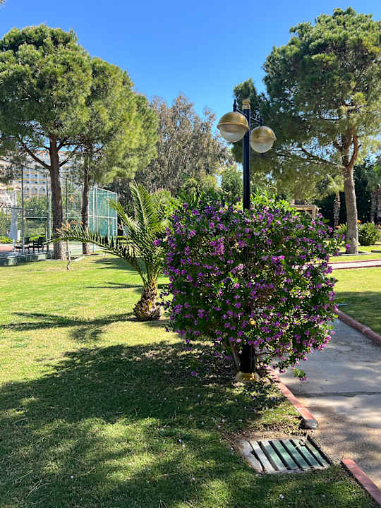 Gartenanlage Sidemarin Kirman Premium