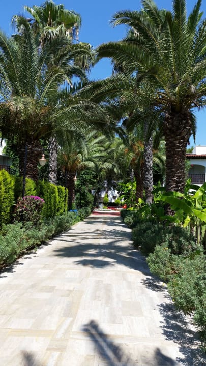 Garten Emelda Sun Club