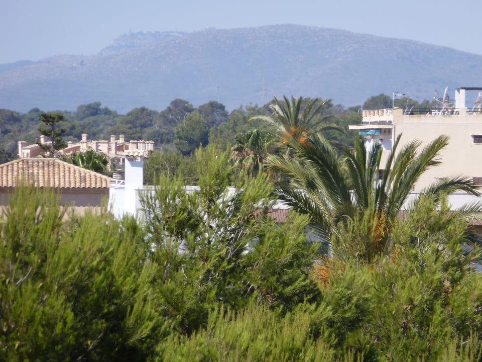 Widok boczny. Millor Sol