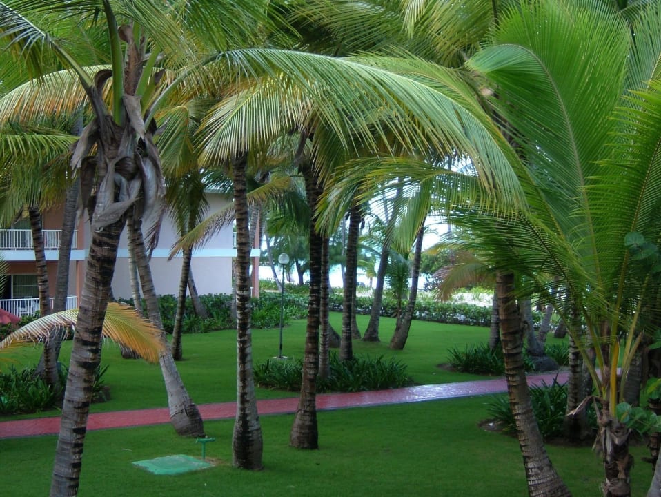 Ausblick vom Balkon (9417) Grand Palladium Select Bávaro Resort & Spa