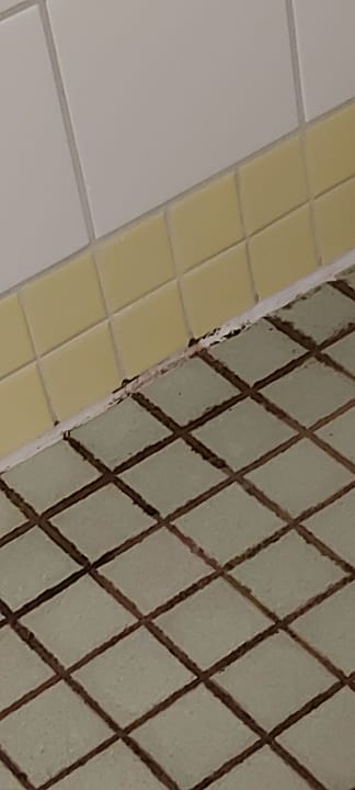 Zimmer Dorint Hotel Durbach/Schwarzwald