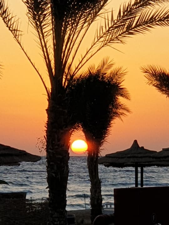 Strand Coral Sun Beach