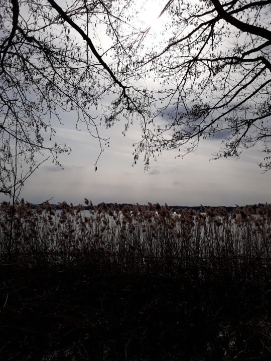 Scharmützelsee. Victoria Suites