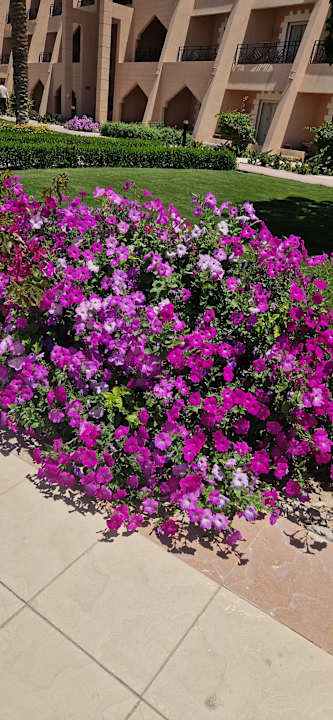 Gartenanlage Jasmine Palace Resort & Spa