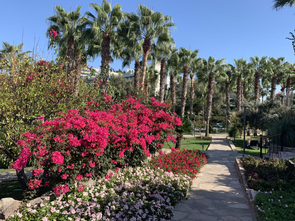 Gartenanlage Arum Barut Collection