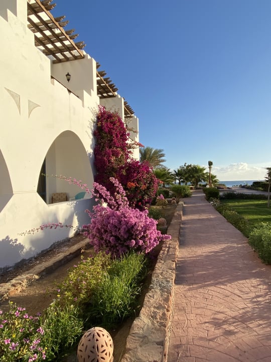 Gartenanlage Three Corners Equinox Beach Resort