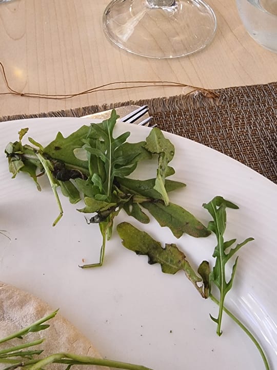 Gastro Iberostar Selection Fuerteventura Palace