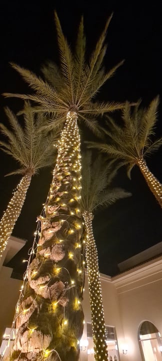 Gartenanlage Cleopatra Luxury Resort Makadi Bay