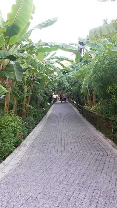Hotel garten Sealife Buket Resort & Beach