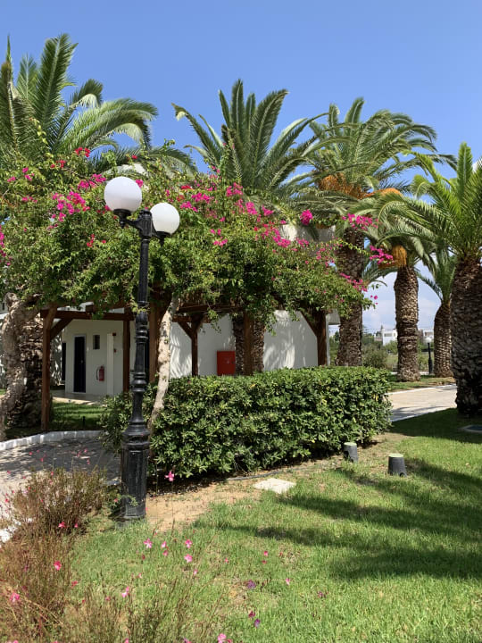 Außenansicht Smy Kos Beach & Splash