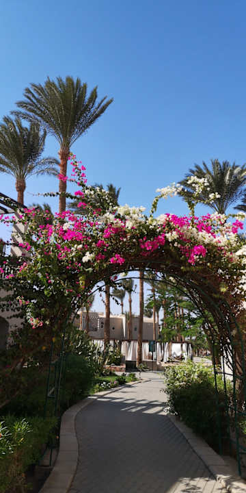 Gartenanlage Iberotel Makadi Beach