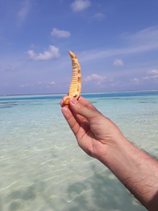Strand Meeru Maldives Resort Island