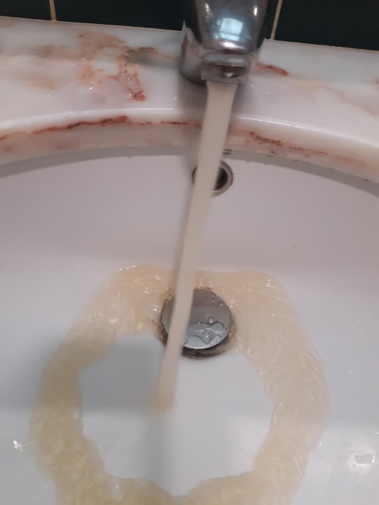 Zimmer Hotel Madeira Panoramico