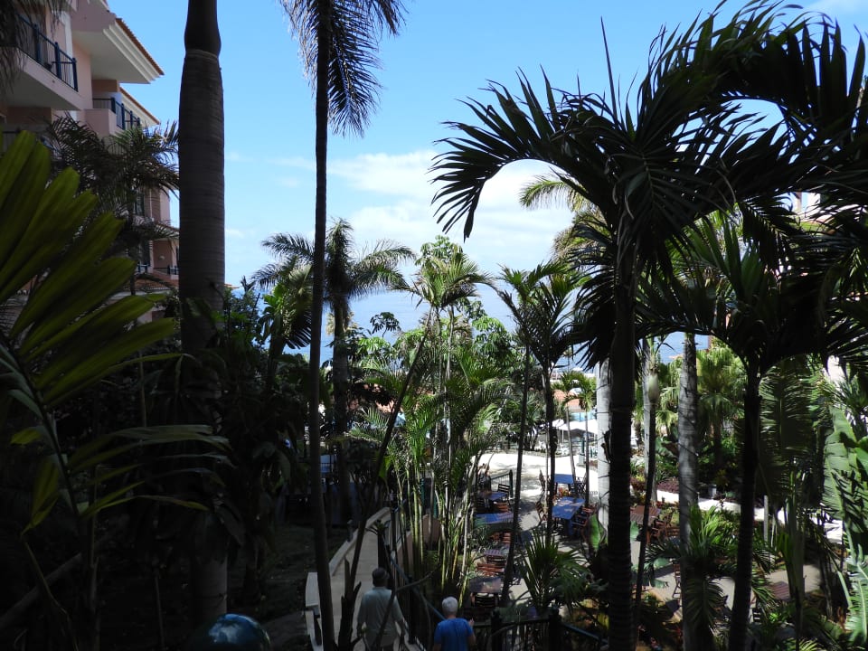 Gartenanlage Pestana Royal Premium All Inclusive Ocean & Spa Resort