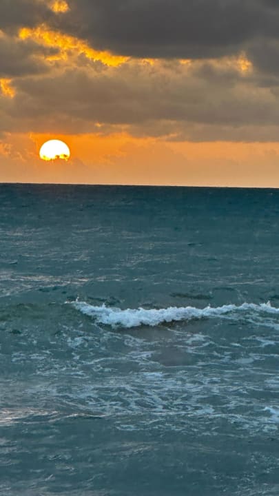 Ausblick Gardenia Hotel