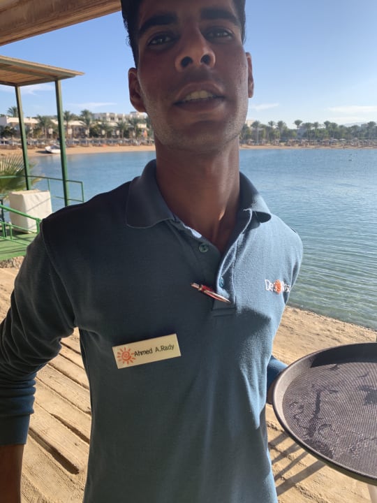 Sonstiges Desert Rose