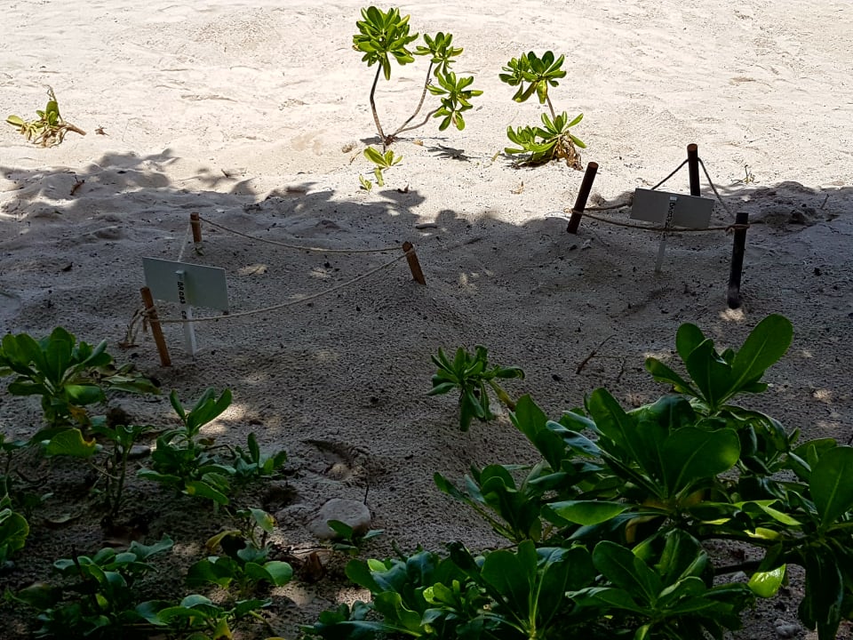 Strand Akumal Bay Beach & Wellness Resort