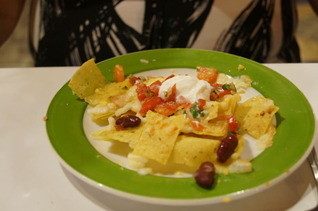 Beim Mexikaner Desert Rose