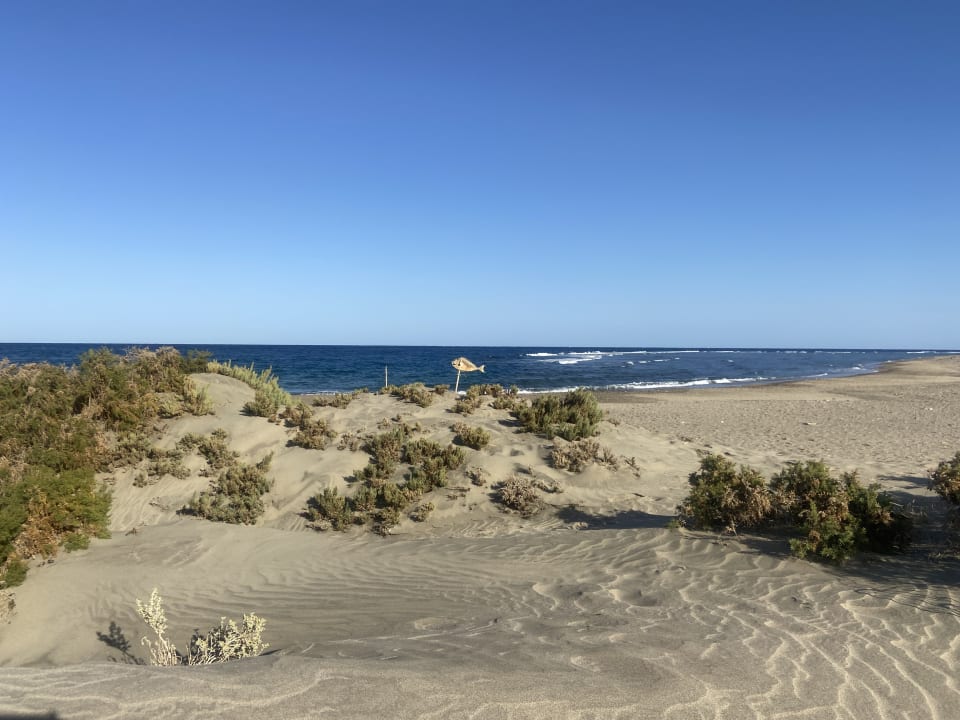 Strand Three Corners Equinox Beach Resort