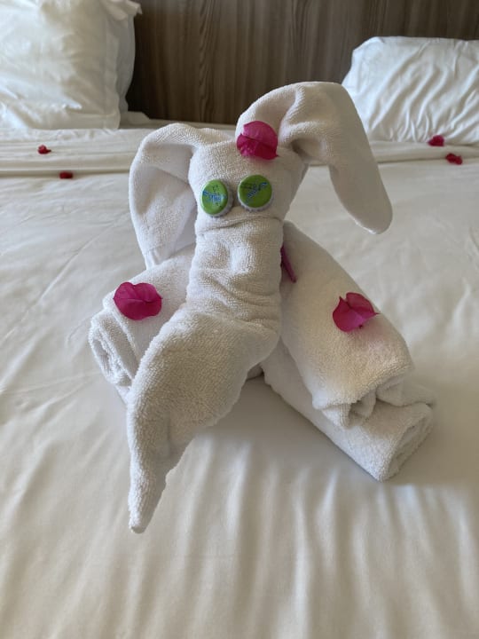 Zimmer Iberostar Waves Mehari Djerba